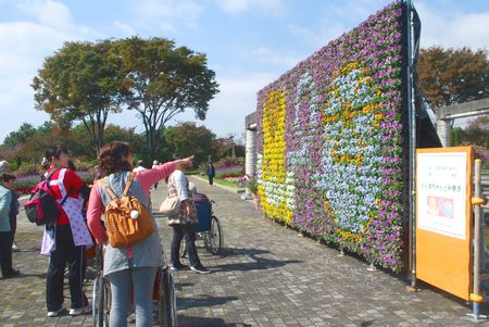 H2610303.jpg