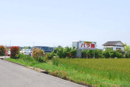 bara80.jpg