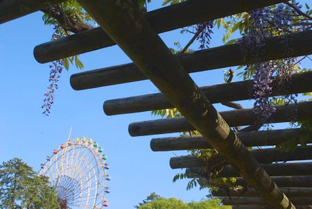 fuji9.jpg