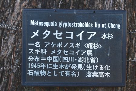 h2512041.jpg