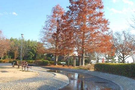 h2512132.jpg