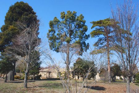 h263_19.JPG