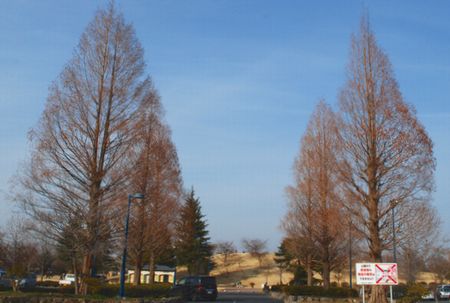 h26_164.JPG