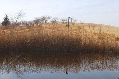 h26_167.JPG