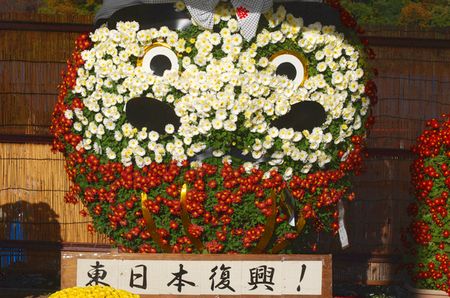 kiku123.jpg