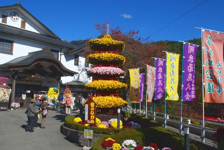 kiku166.jpg