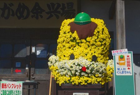 kiku167.jpg
