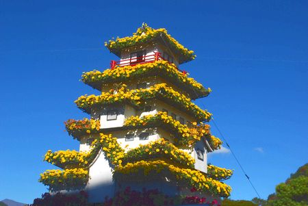 kiku168.jpg