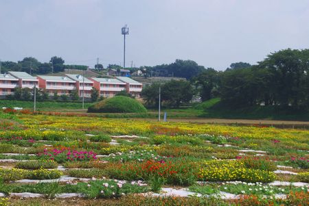 matubotan16.jpg