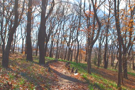 mitake2412193.jpg