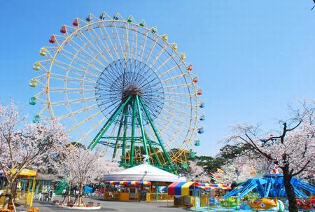 sakura103.jpg
