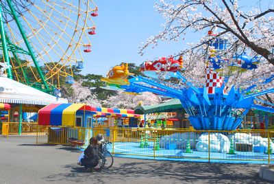 sakura104.jpg