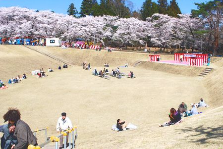 sakura136.jpg