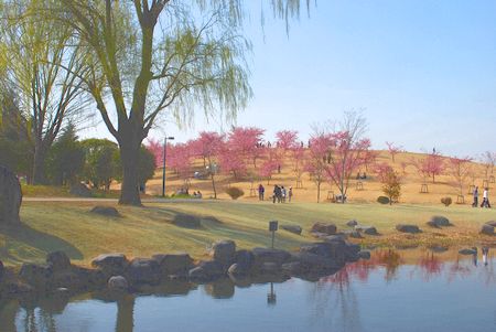 sakura179.jpg