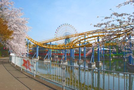 sakura209.jpg