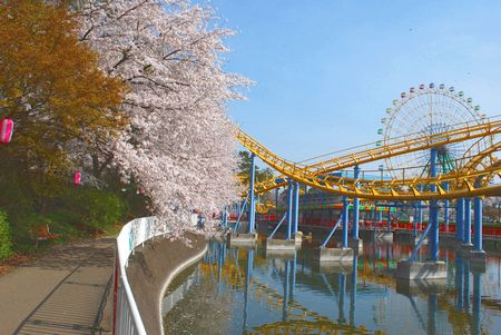 sakura210.jpg