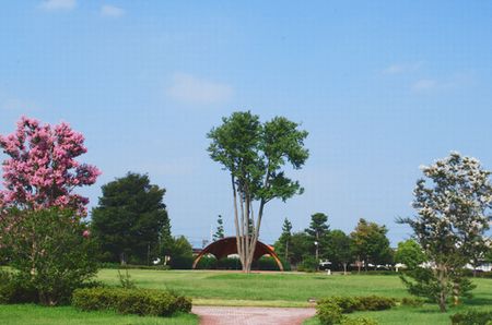 sarusuberi1.jpg