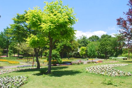 sonota2505314.jpg