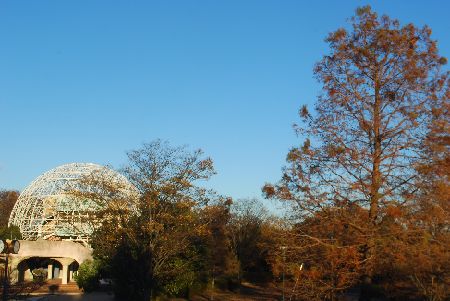 taso27111.jpg